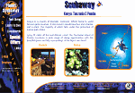 Scubaway Website (V.2)